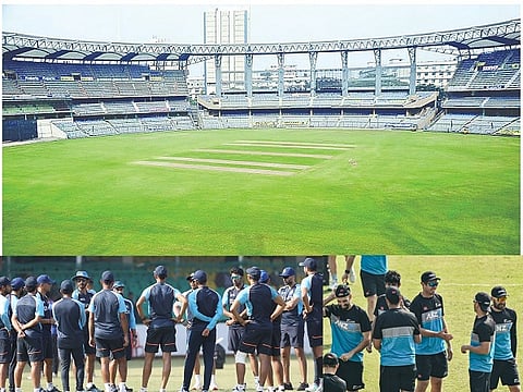 mumbai pitch web