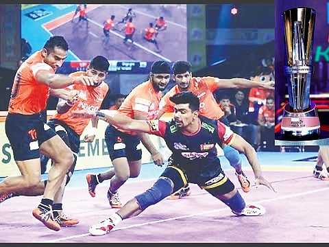 pkl bulls web