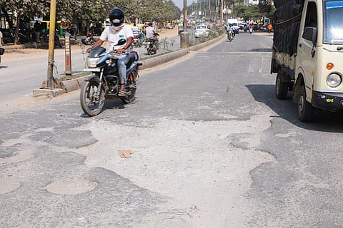 12 KUNIGAL 8