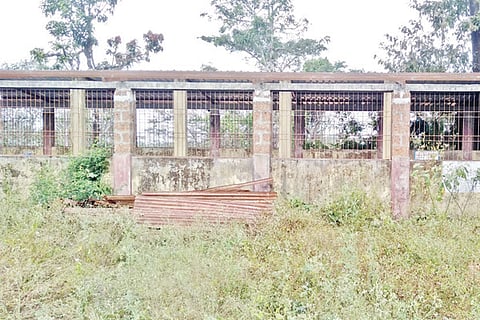 13sirsi1a
