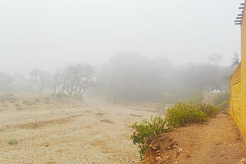 16_Fogg_