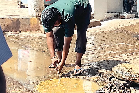 28Jaggu3