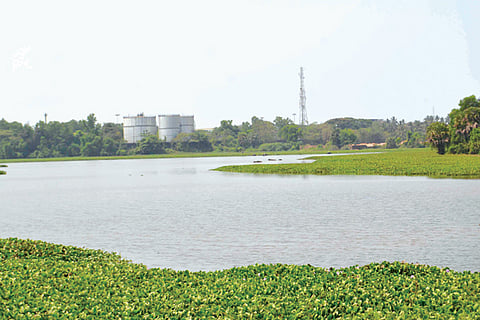 Baggundi Lake Surathkal