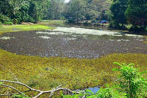 Bogarayana kere
