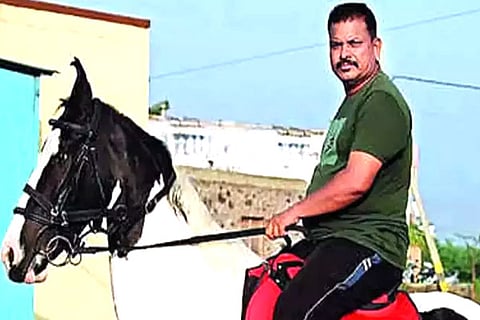 Bussinessman Horse