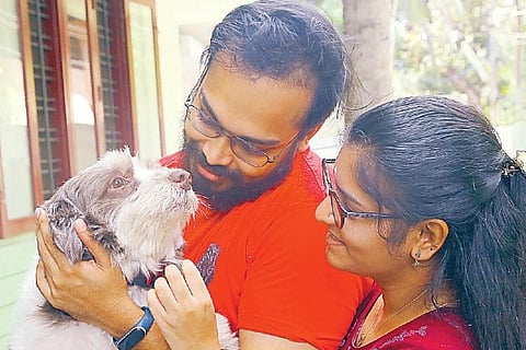 Kerala Dog