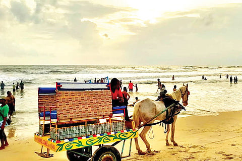 Panambooru beach
