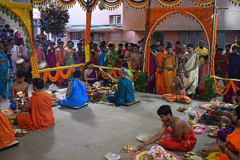 Pejavara mutt