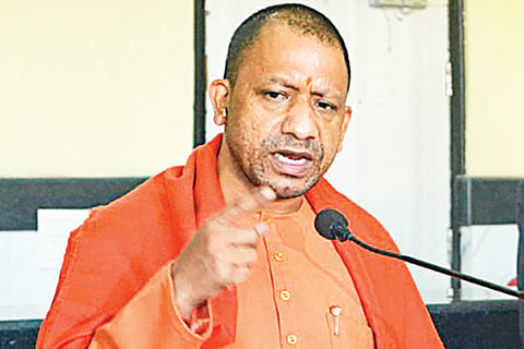 Yogi