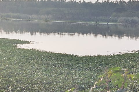anekal5