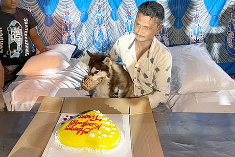 dog birth day