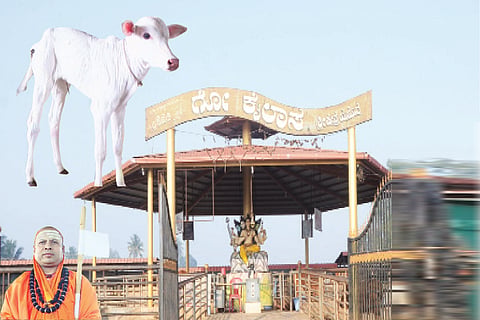 gokailasa