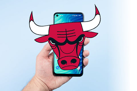 playbull