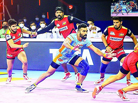 pro kabaddi web