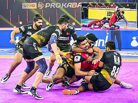 pro kabaddi web