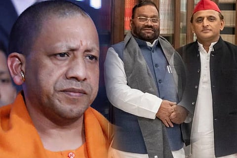 yogi