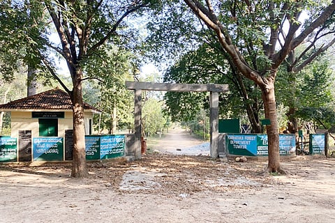 06TMK_Sasyavana_Gate