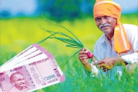 Agri Story