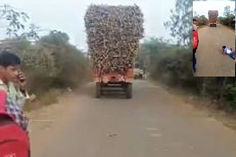 Cane