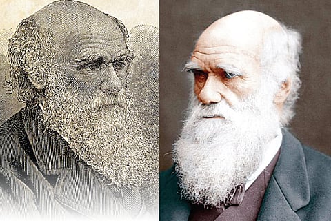Darwin