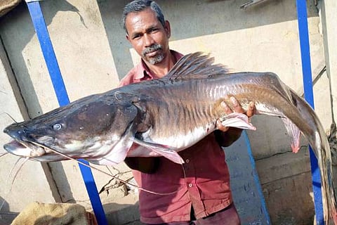 New Project(11)