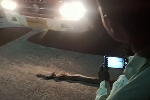 Python 2