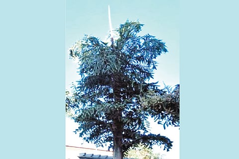 VV 3