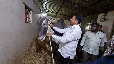 WhatsApp Image 2022-02-10 at 9.52.23 AM