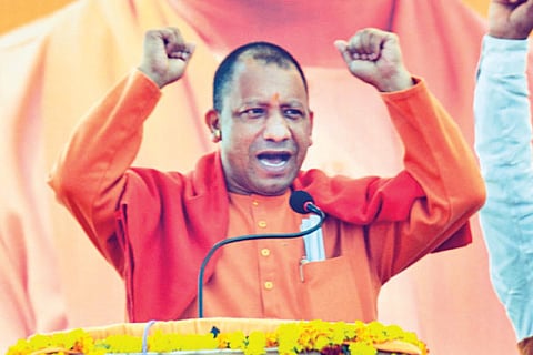Yogi