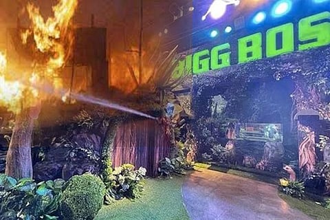 bigboss