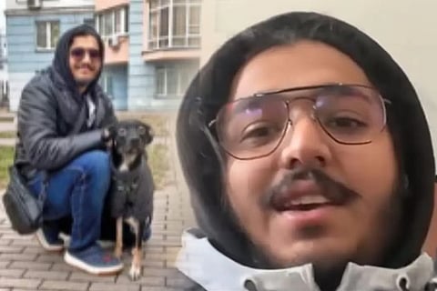 dog1