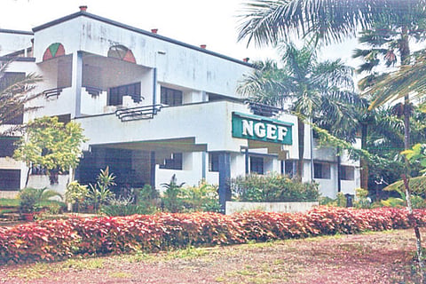 h9- NGEF 3