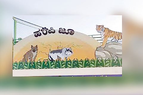 hampi zoo