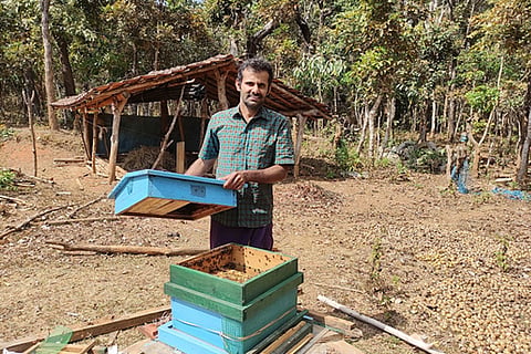 jenu krushi sagara