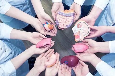 organ donate