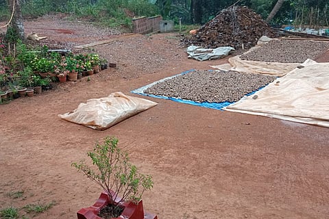 rain