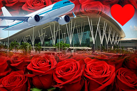 rose