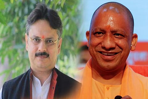 yogi