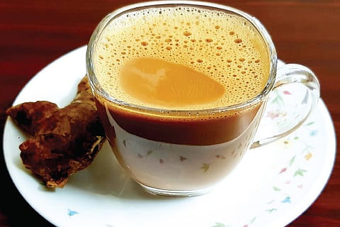 Ginger