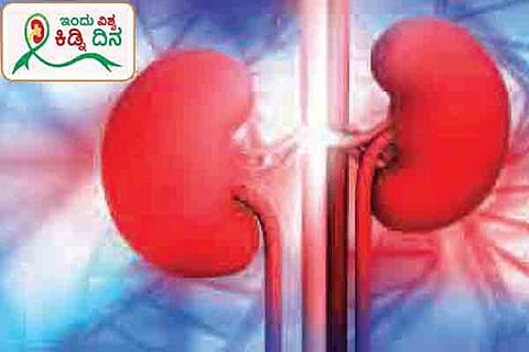 Kidney Day