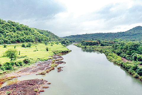 MAHADAYI...