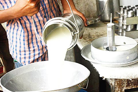 Milk