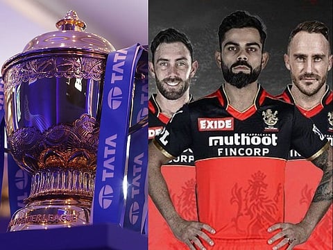 ipl rcb web
