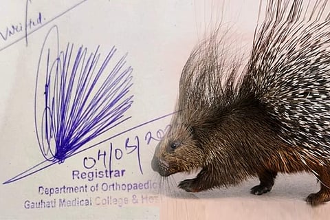 signature