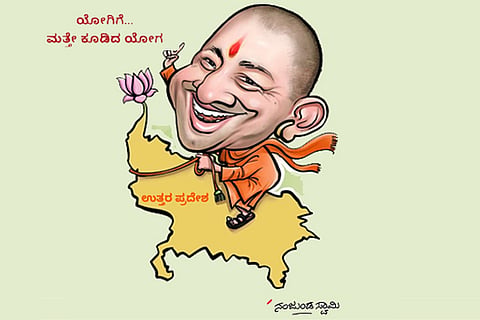 yogi