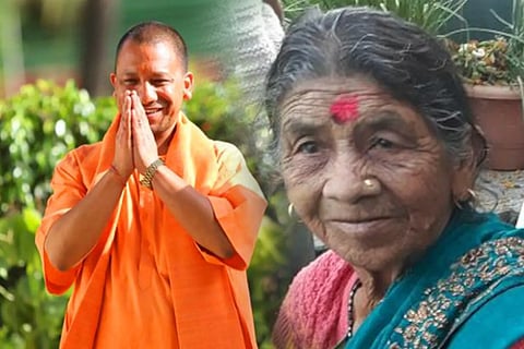 yogi