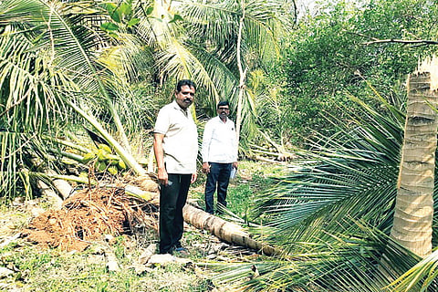 05042022 harapanahalli crop loss
