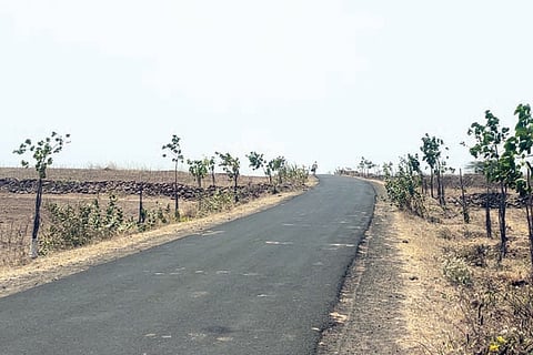 5Aratal1