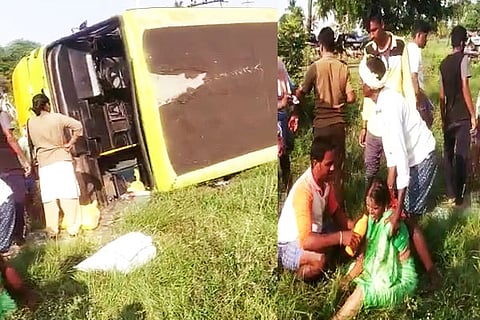 Bus palti