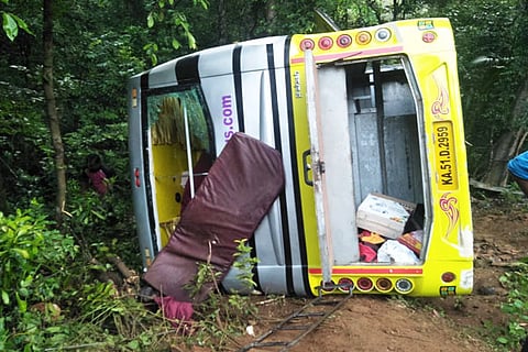 Bus palti